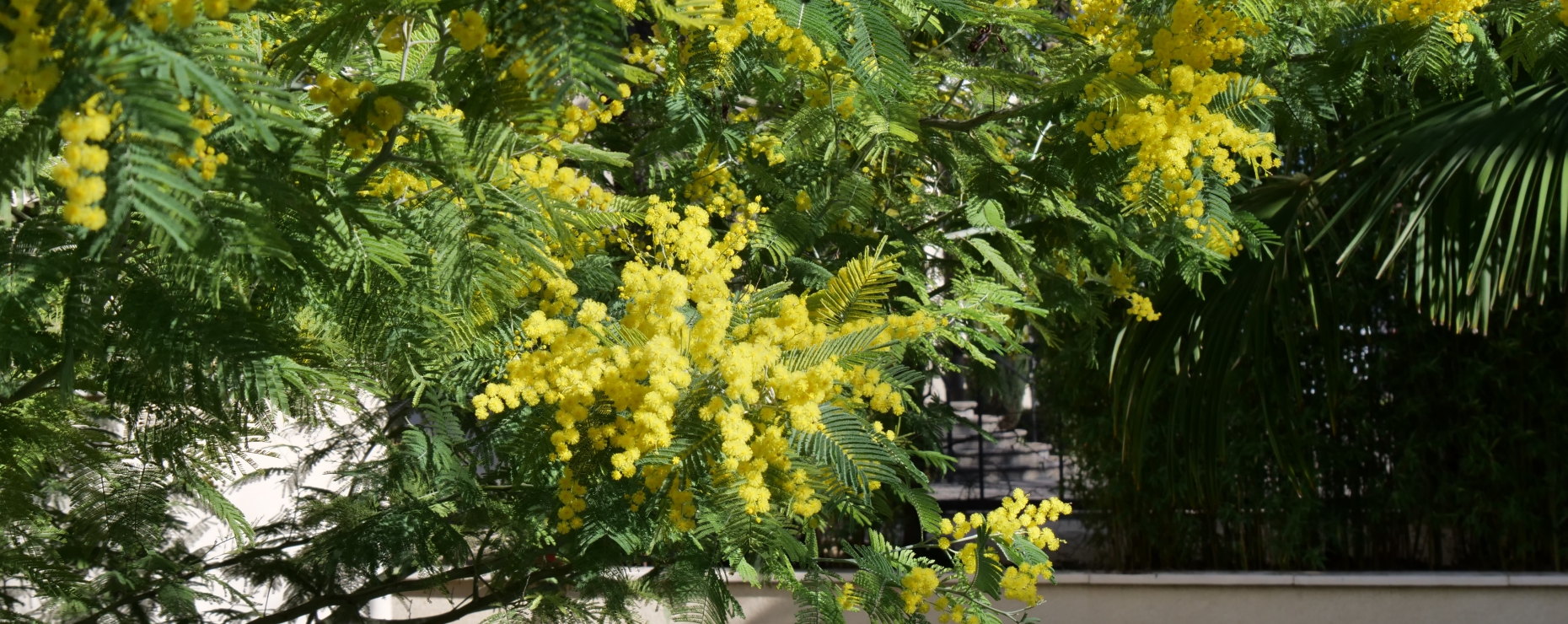 P1033250.JPG